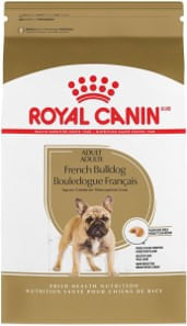 Dog Concentrado ROYAL CANIN Adult Bulldog