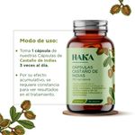 1000_3 Capsulas de Castano de Indias