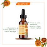 1000_4 Extracto de Calendula